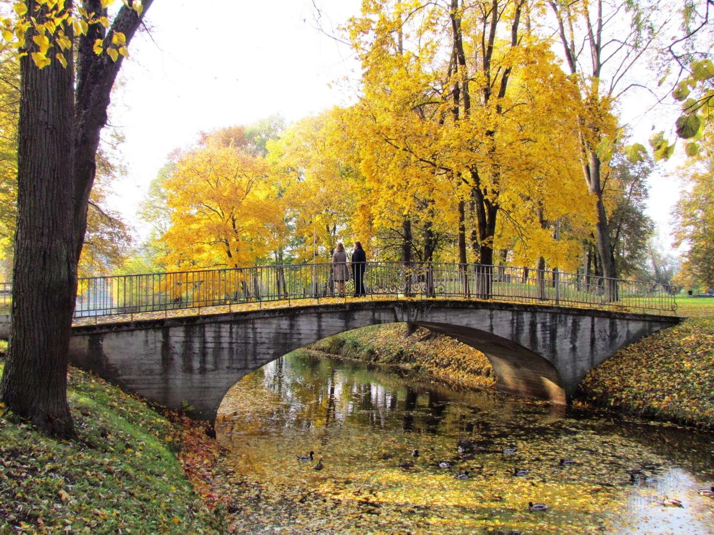 Jelgavas pils parks